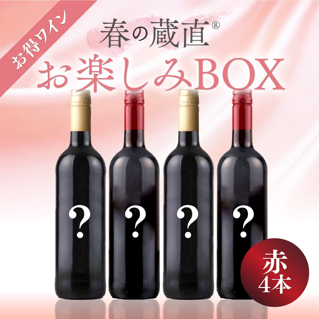 【WEB限定】春のお楽しみワインBOX 5000円 （赤４本）