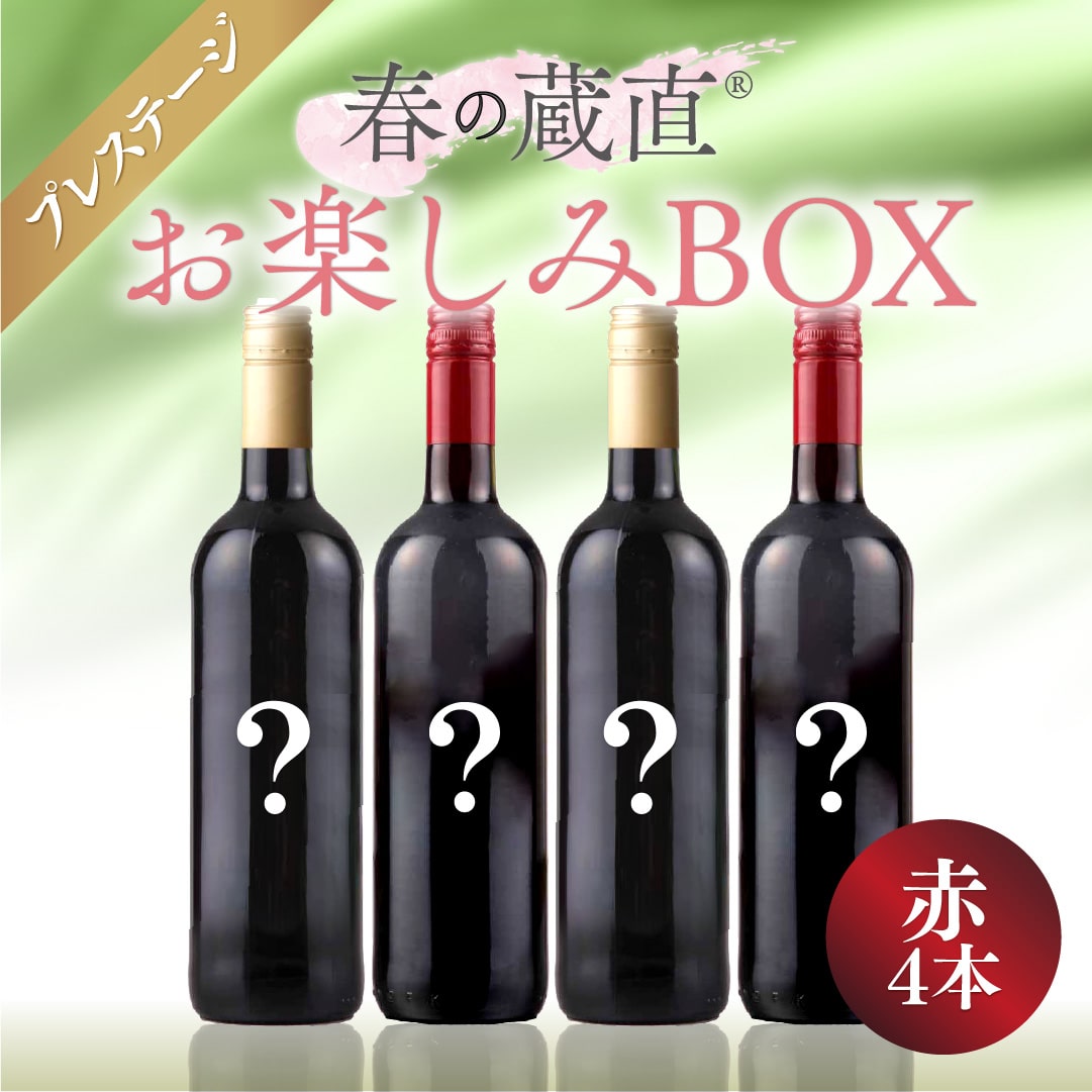 【WEB限定】春のお楽しみワインBOX 10000円 （赤４本）